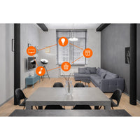 LEDVANCE Matter SMART+ LED Lampe CLASSIC A, RGB, Filamentglas, 4,8W, 470lm, E27-Leuchtmittel-LEDVANCE Shop LEDVANCE Matter SMART+ LED Lampe CLASSIC A, RGB, Filamentglas, 4,8W, 470lm, E27-Leuchtmittel-LEDVANCE Shop