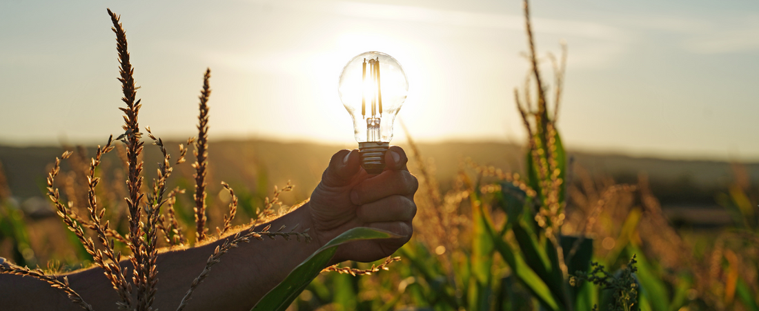 Mit der Kraft der Sonne! Alles rund um Solar-LEDs
