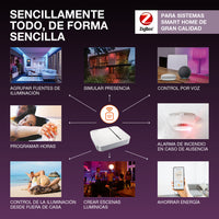 OSRAM Smart+ Lampe mit ZigBee Technologie, 9W, A60, matt, Sockel E27, Lichtfarbe RGBW einstellbar, 806lm