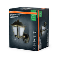 OSRAM Wandleuchte ENDURA Sensor, Schwarz-Gold, IP44
