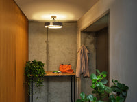 OSRAM DECOR Curve Felt Deckenleuchte 33W 830 Dunkelgrau