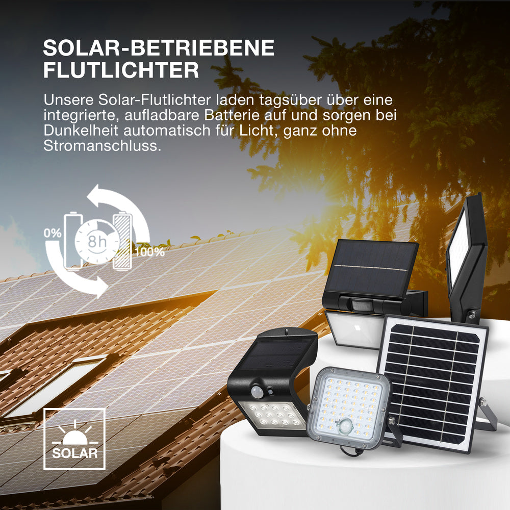 OSRAM ENDURA BUTTERFLY Solar-Flutlicht, schwarz, 1,5W, 200lm, Bewegungs- & Lichtsensor, Outdoor-Leuchte, Batterie aufladbar, lange Lebensdauer, einfache Montage, IP65, 4000K