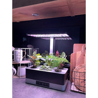 LEDVANCE Indoor Garden KIT PRO Anzuchtsystem 36cm inkl. Pflanzenlicht 220…240V 24W / 3600K
