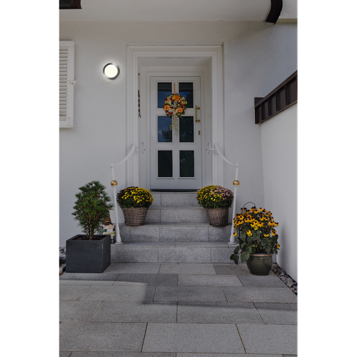 LEDVANCE Wand- und Deckenleuchte LED: für Wand, ENDURA STYLE DISC / 8 W, 220…240 V, Warm weiß, 3000 K, Gehäusematerial: Edelstahl, IP44-Außenwandleuchten-LEDVANCE Shop