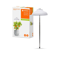 LEDVANCE Indoor Garden Umbrella LED Pflanzenlicht 20cm USB 5V 5W / 3400K